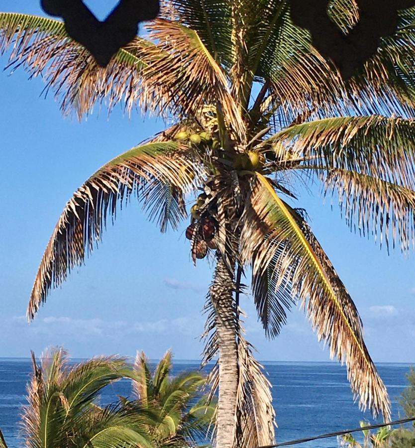 Le Reve Tropical 974 Leilighet Trois Bassins Eksteriør bilde