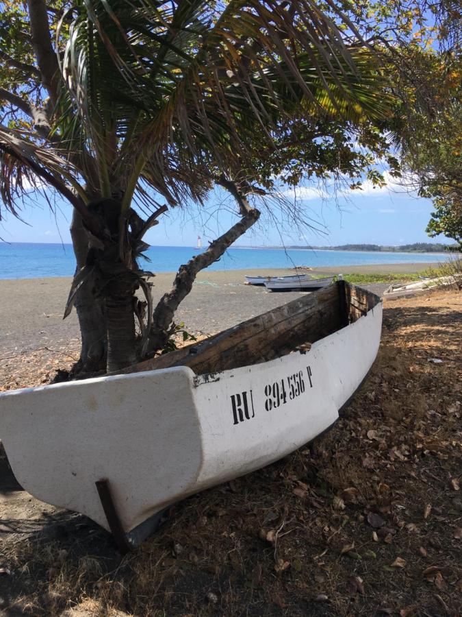 Le Reve Tropical 974 Leilighet Trois Bassins Eksteriør bilde