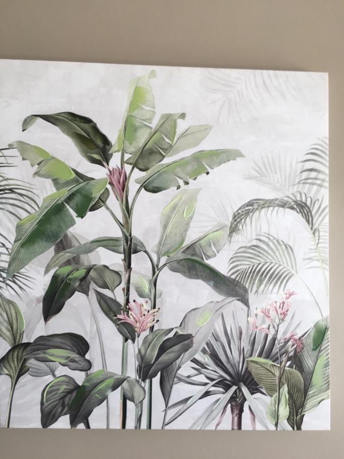 Le Reve Tropical 974 Leilighet Trois Bassins Eksteriør bilde