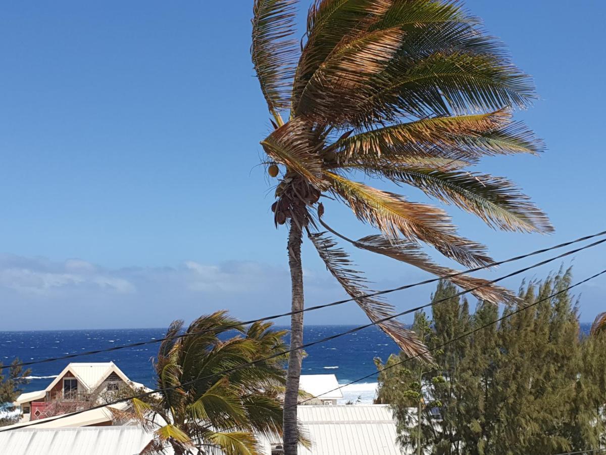 Le Reve Tropical 974 Leilighet Trois Bassins Eksteriør bilde